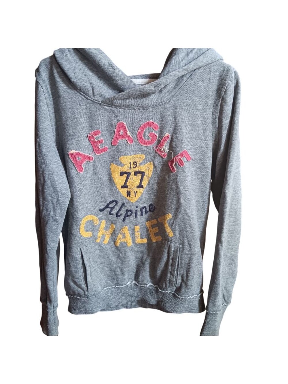 Womens Medium Y2K American Eagle Outfitters Gray Hoodie Alpine Chalet Logo